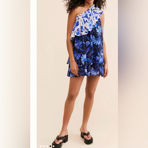 Anthropologie One Shoulder Cotton Ruffle Mini Dress in Blue & White Floral - 1X
